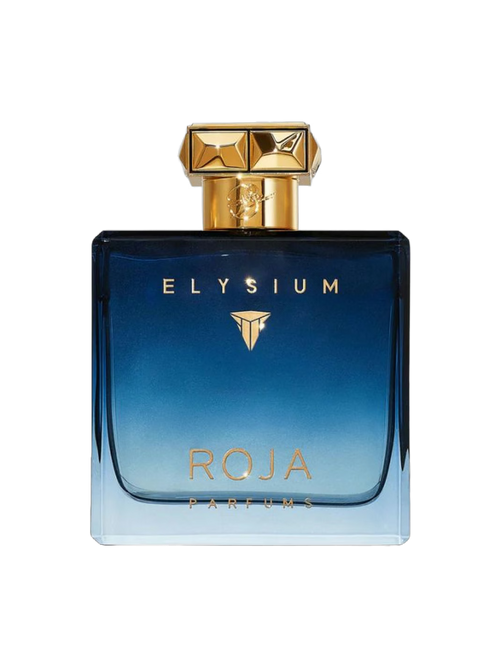 Roja Elysium Pour Homme Parfum Cologne 100ml